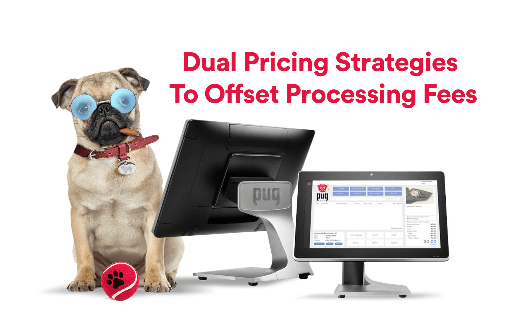 Dual Pricing Strategies To Offset Processing Fees - P.U.G. Retail