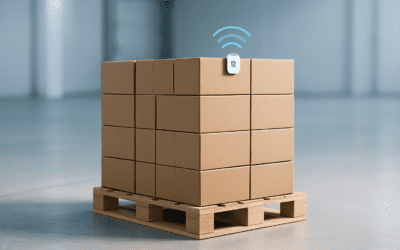 Centralized Inventory Management for Multi-Location Stores: Best5